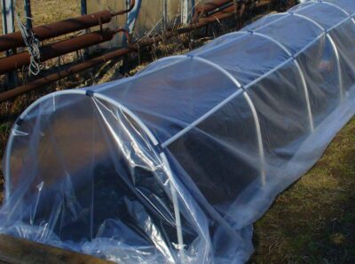 парник фото