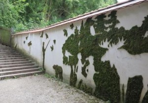 эко-граффити 
