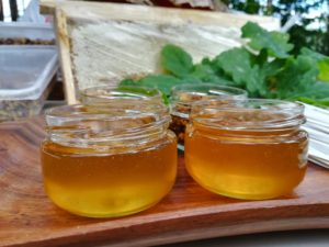 Как правильно выбрать мёд?