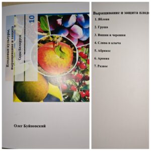 уход за яблоней фото