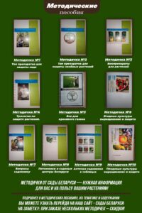 сорта алычи