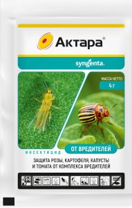 сингента