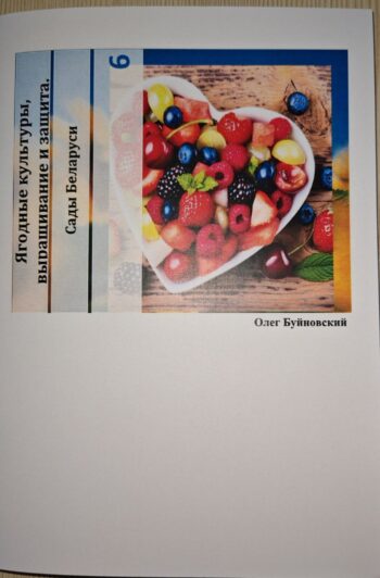 уход за желтой малиной фото