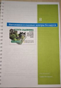 сроки заготовки черенков фото