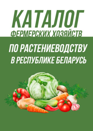 уборка картофеля